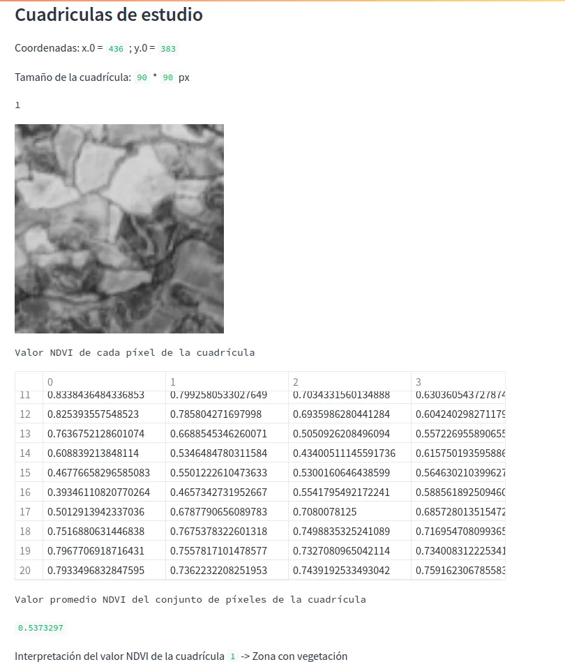 NDVI value calculated for image 1. Source: Own.