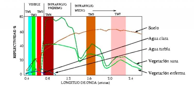 Interaction of elements of the Earth's surface with radiation