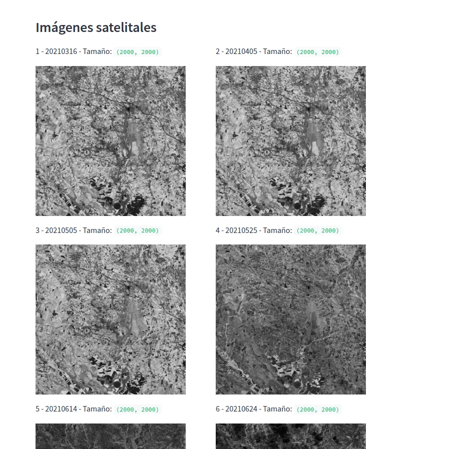 200x220 px satellite images. Source: own