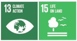 Focus on Sustainable Development Goals 13 and 15. Action for climate and biodiversity